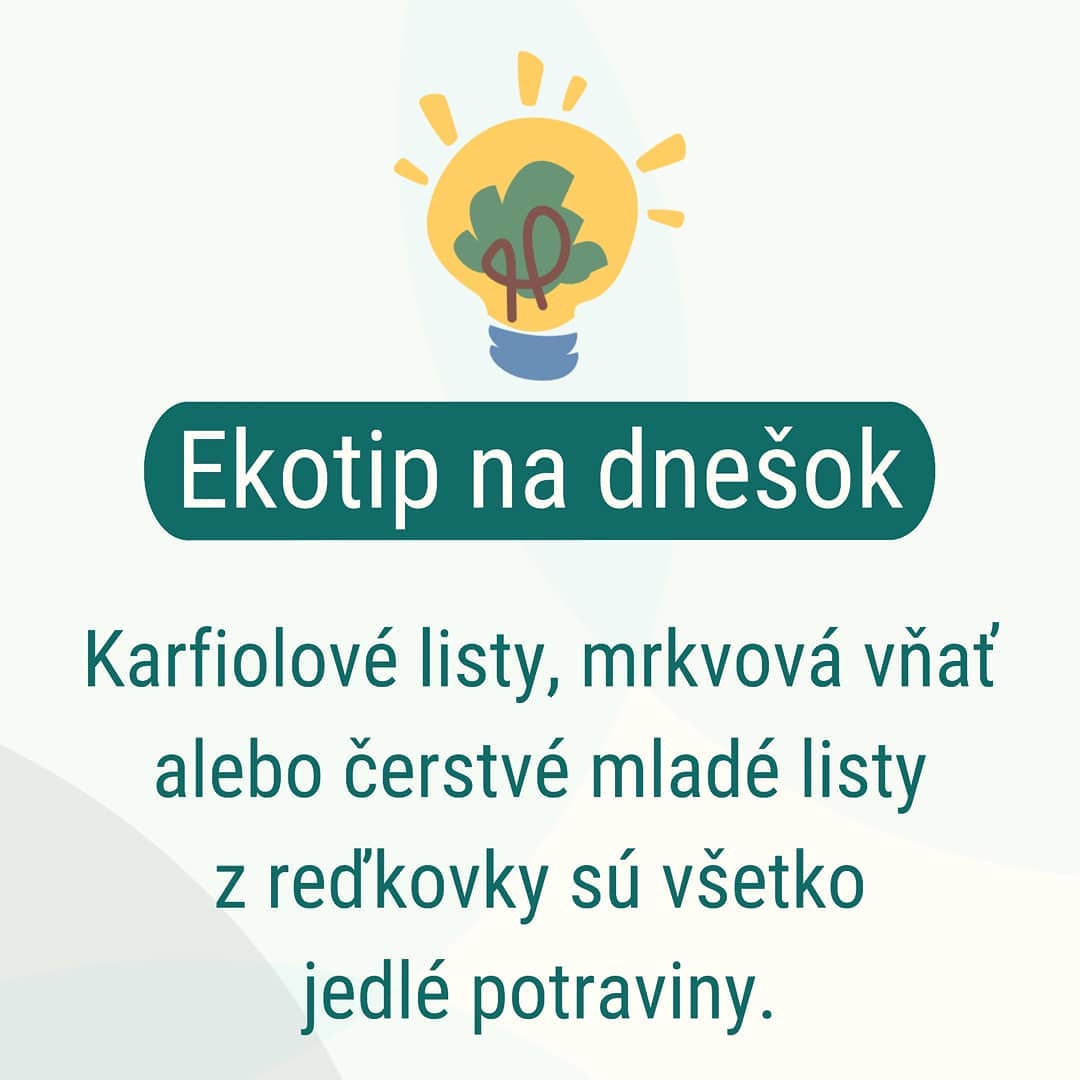 EkoKvíz event preview